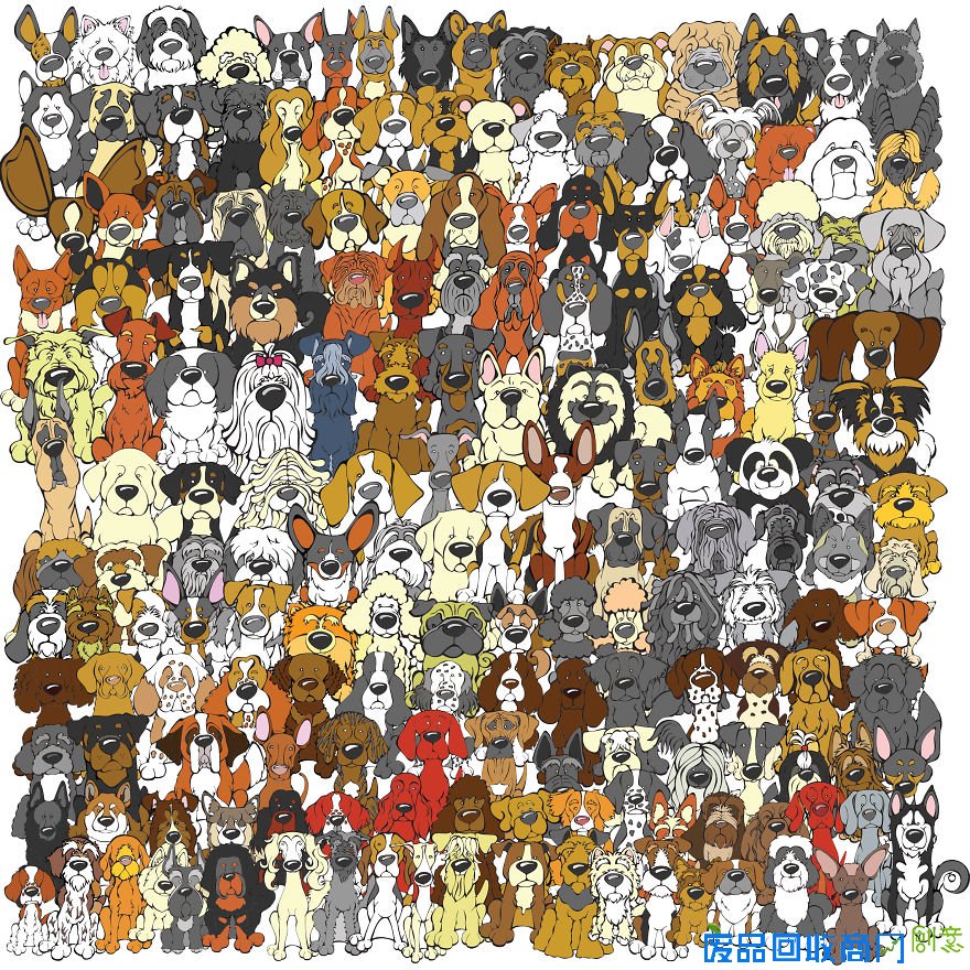 “找熊猫”升级版来袭 网友直呼看瞎眼组图