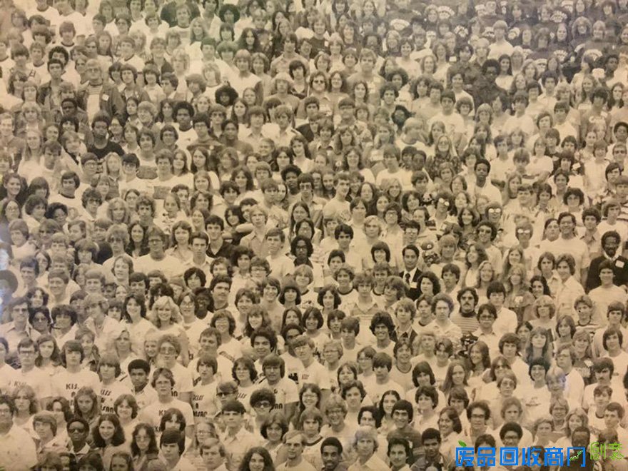 “找熊猫”升级版来袭 网友直呼看瞎眼组图