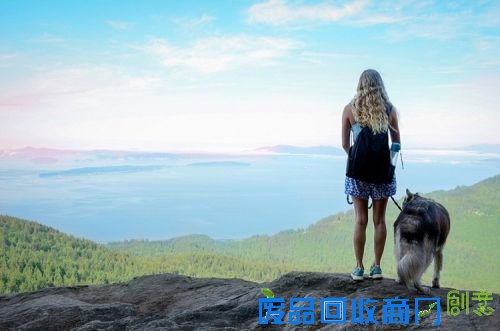 14540592713631575012