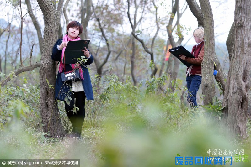 图片故事：300亿点击量背后的“动漫女孩”