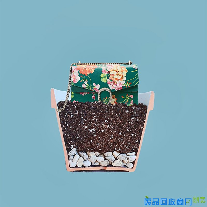 GUCCIG RAM数字创意项目受到持续关注   