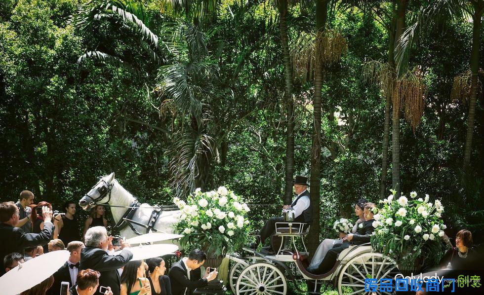 王阳明蔡诗芸唯美婚纱照浪漫温馨