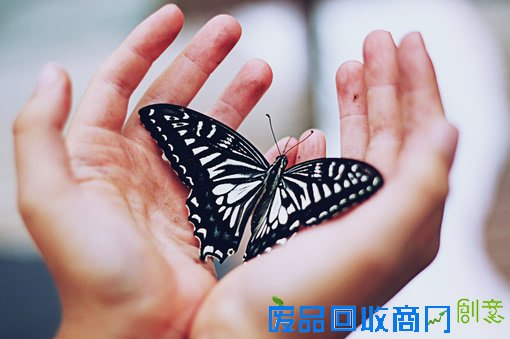 小清新美图伤感治愈系lomo唯美静物图片