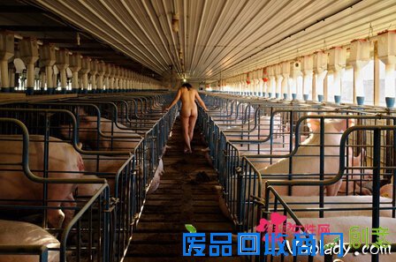 赤身裸体重口味!美女摄影师全裸躺猪圈与群猪同眠拍写真