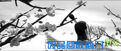 动画改编传说需现代思维