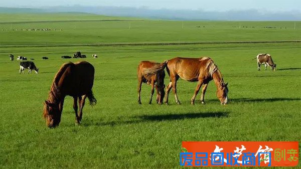 《寻龙诀》的拍摄地美呆了，宛若仙境！