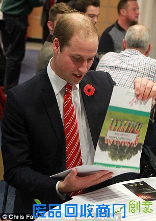 当地时间11月8日，英国威尔士，威廉王子忙里偷闲看威尔士VS澳大利亚的橄榄球赛。前女队员Fran