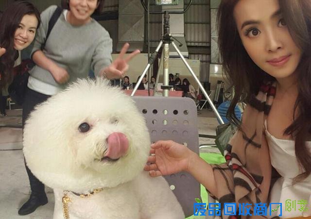 蔡依林晒与爱犬合影 狗狗对镜头咧嘴笑超可爱(图)