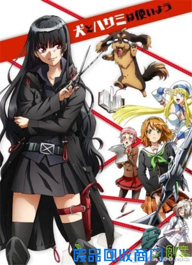 你都看过吗？中高级粉丝的必修动画