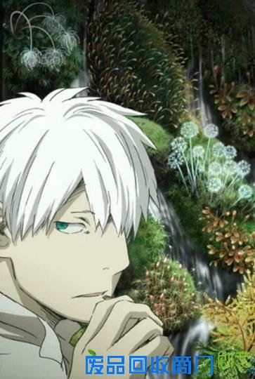 你都看过吗？中高级粉丝的必修动画