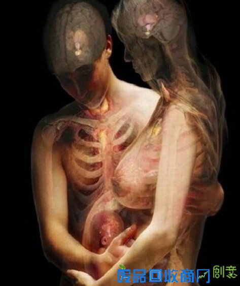 孕妇和人体x射线艺术照