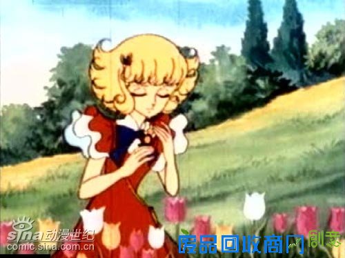 动漫仙子图片无水印_动漫仙子图片图片_动漫片十二仙子里有哪些动物?