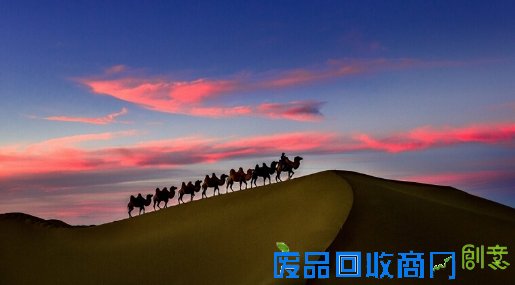 你和大奖之间，只隔了一个快门的距离