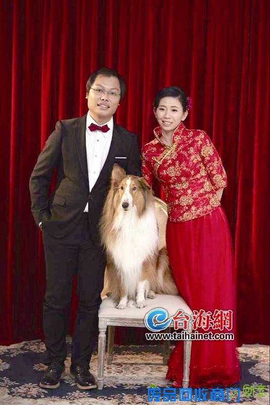 三年前它生蛆流浪在街头 三年后它出镜主人婚纱照