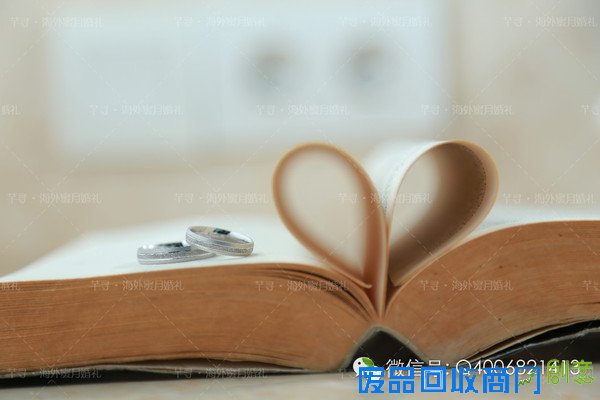 创意婚戒拍摄灵感，海外婚礼的正确打开方式