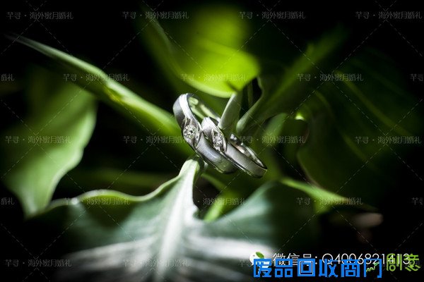 创意婚戒拍摄灵感，海外婚礼的正确打开方式