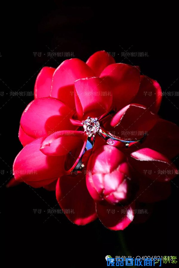 创意婚戒拍摄灵感，海外婚礼的正确打开方式