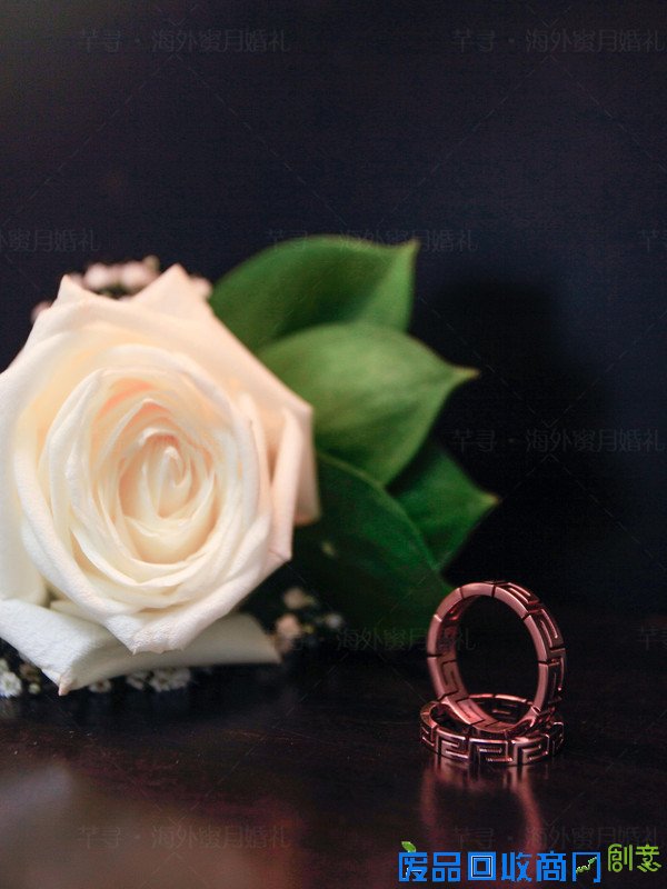 创意婚戒拍摄灵感，海外婚礼的正确打开方式