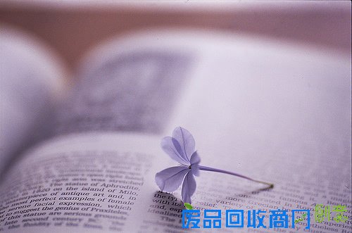 唯美意境伤感系笔记本的唯美图片