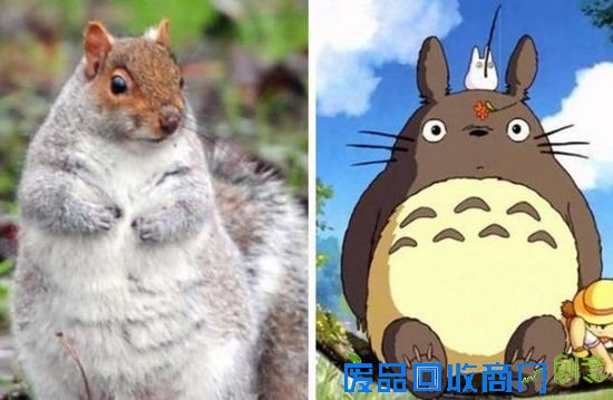 图片来源于网络