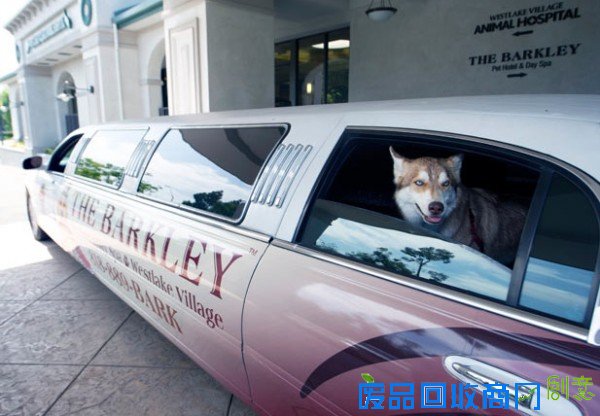 【有彩蛋】比目一周五大热门创业点子