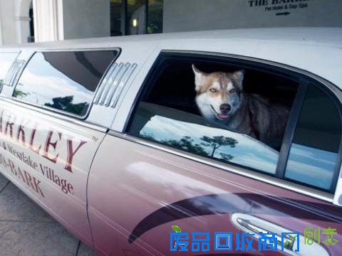 【有彩蛋】比目一周五大热门创业点子