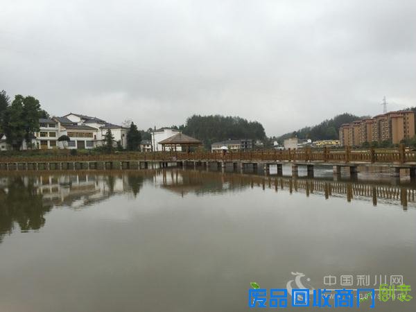 “神韵柏杨”摄影大赛启动 用镜头推介美丽柏杨