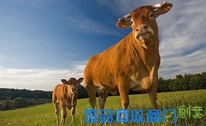 心碎事件：母亲为求水救儿 被皮鞭打的皮开肉绽(图)