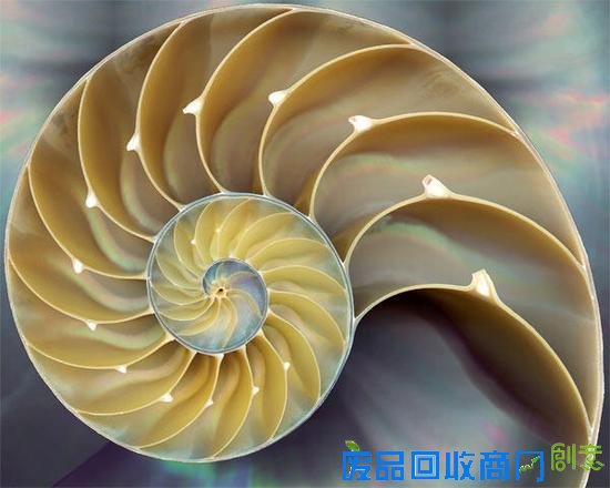 能将街头醉汉拍成世界名画 摄影师请收下我的膝盖