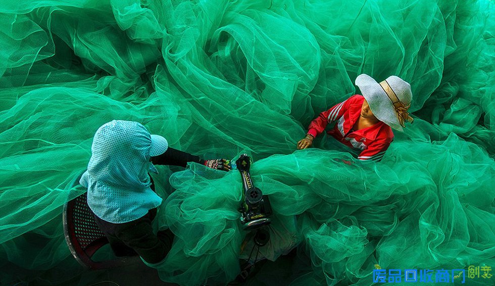 《国家地理》摄影赛惊艳佳作：展现自然色彩魔法(高清组图)