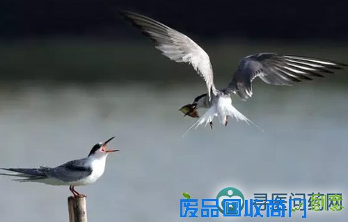 “我的佑安我的家”摄影展落幕 大波颜值爆表的美图来袭