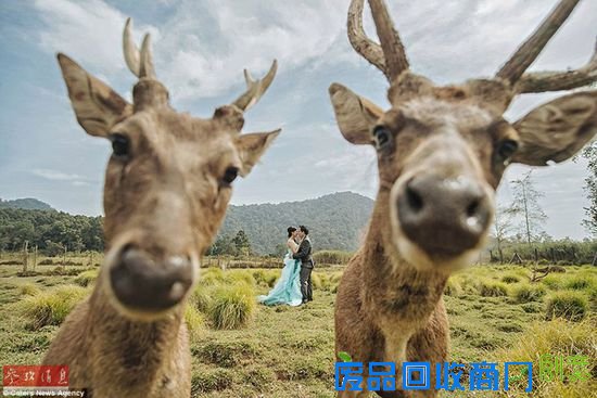 那些令人捧腹大笑的