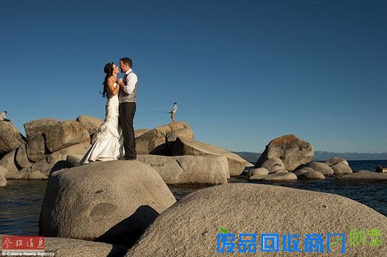 那些令人捧腹大笑的