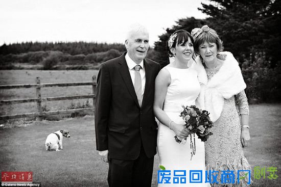 那些令人捧腹大笑的