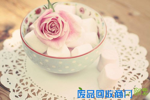 小清新静物可爱唯美伤感小清新图片