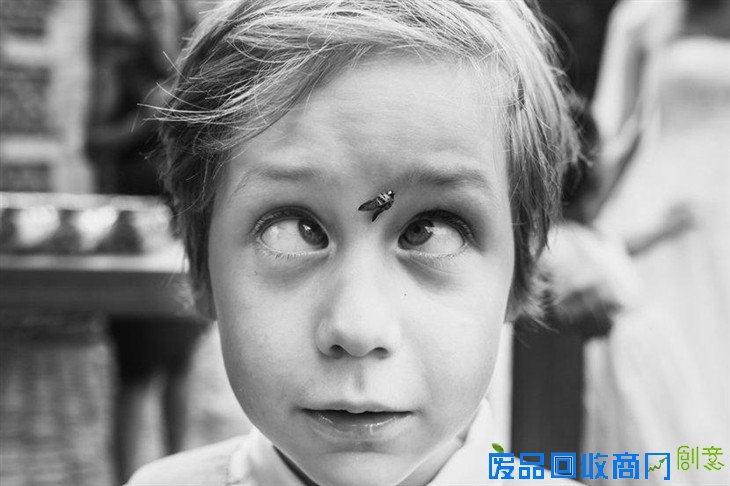 2015年ISPWP国际婚摄比赛冠军精品赏析