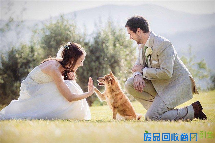 2015年ISPWP国际婚摄比赛冠军精品赏析