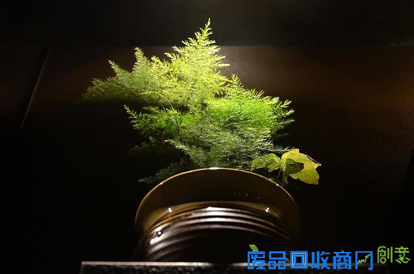 茶香主题文化创意餐厅