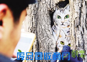 美术启蒙老师树洞作画 成冬日街边独特风景(图)