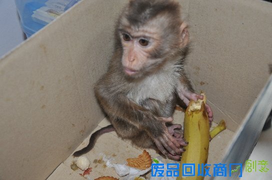 通讯员 徐志华 摄