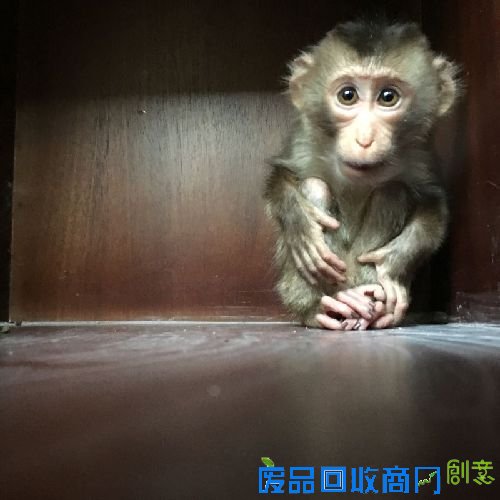 通讯员 徐志华 摄