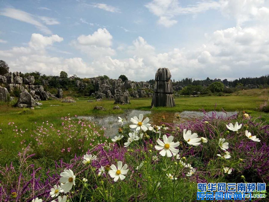 [新华网云南频道] 摄影家金秋采盛行 新视觉发现