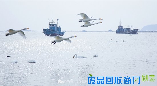 烟墩角　想你时你在眼前