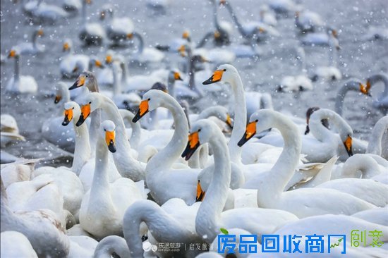 烟墩角　想你时你在眼前