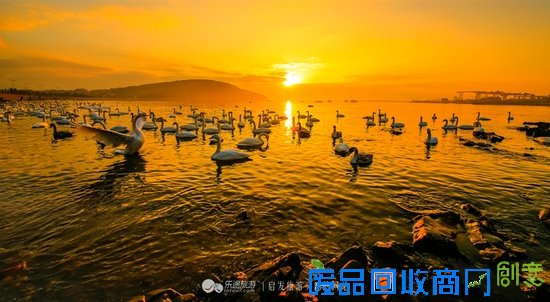 烟墩角　想你时你在眼前