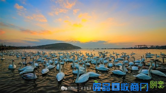 烟墩角　想你时你在眼前