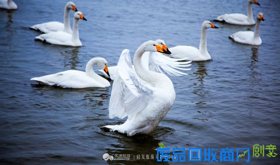 烟墩角　想你时你在眼前