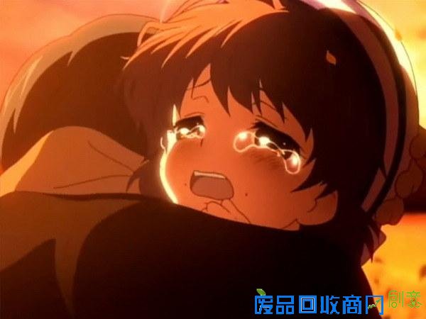 小圆才第2!日媒评社会现象级动画