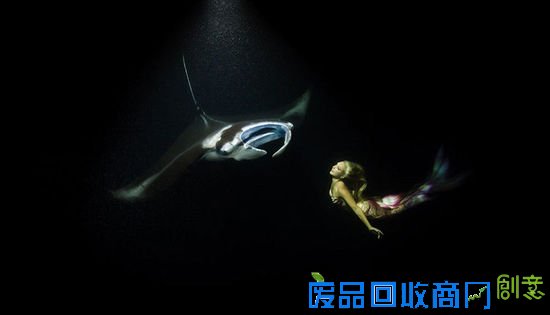 摄影师抓拍模特与蝠鲼深海梦幻起舞照片