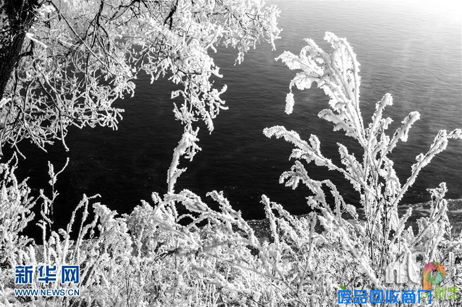 雾凇俗称树挂,为我国四大奇观之一。有句俗话说“夜看雾,晨看挂,待到近午赏落花”,说的便是雾凇从无到有,从有到无的过程。雾凇奇观让无数游人神往,而最为著名的观雾凇胜地就有吉林、庐山、黄山等地,其中尤以“吉林雾凇天下奇”。